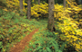 Autumn colors north of Dry Creek