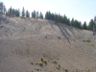 PCT climing above Rushing Water Creek