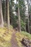 Trail Crew at the edge of a Salmon River clearcut