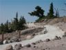 New trail above Timberline Lodge